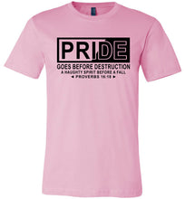Load image into Gallery viewer, Pride Goes Before Destruction Bible Verse T Shirts, Proverbs 16-18 Tshirt pink