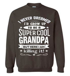 I Never Dreamed I'd Grow Up To Be A Super Cool Grandpa Sweatshirts brown