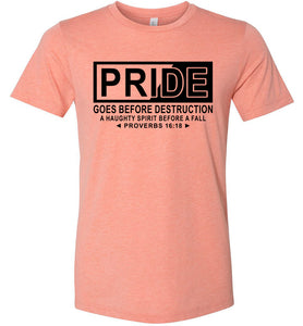 Pride Goes Before Destruction Bible Verse T Shirts, Proverbs 16-18 Tshirt heather sunset