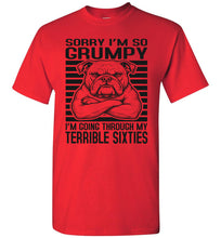 Load image into Gallery viewer, Terrible Sixties Tee Shirt Red