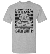 Load image into Gallery viewer, Terrible Seventies Tee Shirt Sports Grey