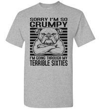 Load image into Gallery viewer, Terrible Sixties Tee Shirt Sports Grey