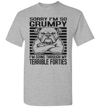 Load image into Gallery viewer, Terrible Forties Tee Shirt Sports Grey
