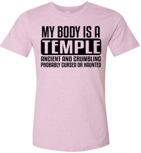 Load image into Gallery viewer, My Body Is A Temple Ancient And Crumbling Funny Quote Shirt pink