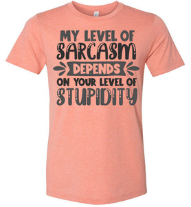 My Level Of Sarcasm Depends On Your Level Of Stupidity Sarcastic Shirts sunset prism