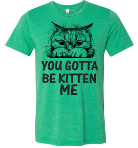You Gotta Be Kitten Me Funny Cat T Shirt hether kelly