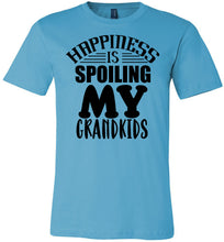 Load image into Gallery viewer, Happiness Is Spoiling My Grandkids Tshirt turquise