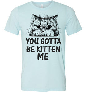 You Gotta Be Kitten Me Funny Cat T Shirt Heather Ice Blue
