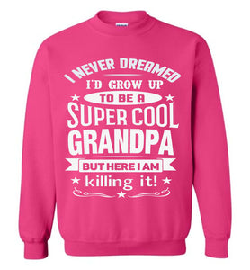 I Never Dreamed I'd Grow Up To Be A Super Cool Grandpa Sweatshirts pink