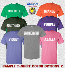 Load image into Gallery viewer, Gildan tshirt sample colors 2