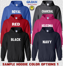 Load image into Gallery viewer, Sample Hoodie Colors 1